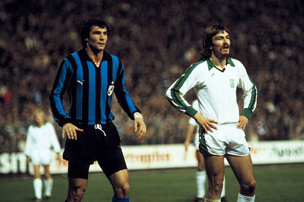 就不仅引发 就不仅引发